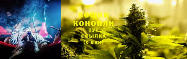 PSILOCYBIN Остров