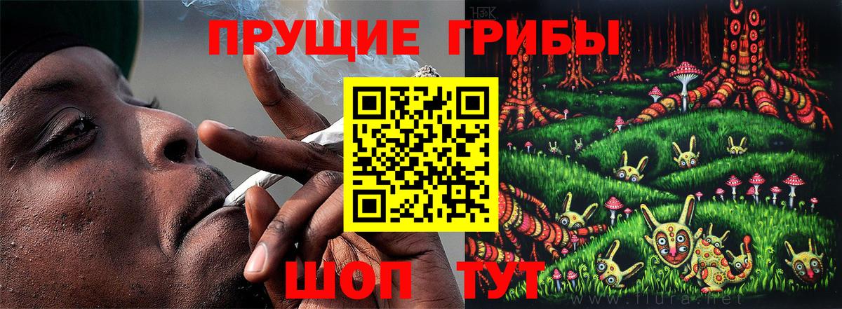 Галлюциногенные грибы ЛСД  Псилоцибиновые грибы прущие грибы  где купить   Вход с VPN  Смоленск 