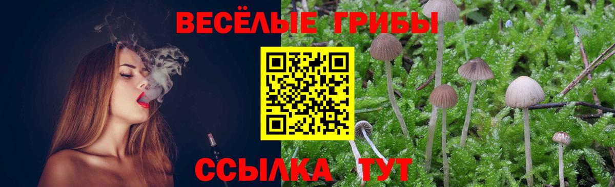 Галлюциногенные грибы MAGIC MUSHROOMS Смоленск